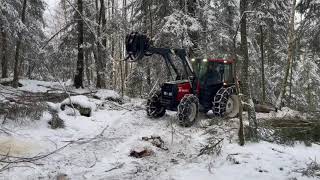 Valmet 665 Forestry traktor harvesting birch for firewood production [upl. by Annasoh700]