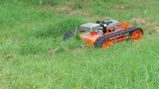 Perfect Cut From Robot Mower [upl. by Gay660]