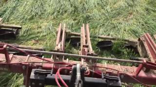 Fennig Equipment Crimp and Roll Down Covers with Yetter Stalk Devastator [upl. by Bonar]