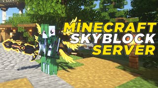 Minecraft Emek Skyblock Server Tanıtımı  PayidarCraft [upl. by Dolph]