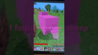 Minecraft pink sheep [upl. by Eerised13]