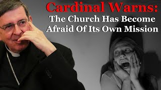 Cardinal Warns The Church Has Become Afraid Of Its Own Mission [upl. by Dulcinea424]