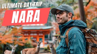 Ultimate Day Trip to Nara Japan  Day Trip from Osaka [upl. by Ruyam]