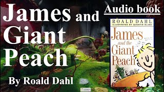 Audio Book  James and the Giant Peach  Roald Dahl [upl. by Barb844]