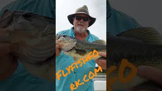 Best flies for Lake Fork bass Lake Fork Fly Fishing Fly Fish Fork flyfishforkcom Frog patterns [upl. by Yraccaz385]