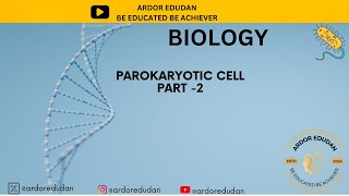 PROKARYOTIC CELL STRUCTURE  PART 2  CELL MEMBRANE  BIOLOGY FOR NET  HTET  CTET PGT BIO [upl. by Rambow]