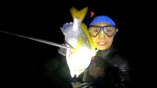 Abu Dhabi Spearfishing EP030 unlimited Fascaryellowtail seabream sa spot nato puno ang lagayan ko [upl. by Petersen]