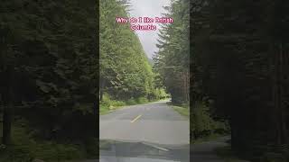 A glimpses of Golden Ears Provincial Park Areas youtubeshorts shortsviral britishcolumbia [upl. by Nadaha]