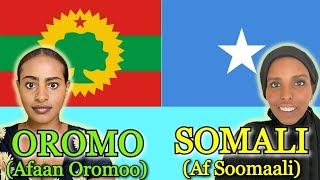 Similarities Between Somali and Oromo [upl. by Acireit]