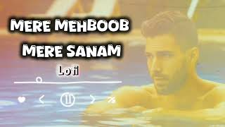 Mere Mehboob Mere Sanam Lofi  Bad Newz [upl. by Elletse]