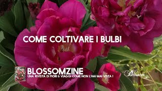 Come coltivare i bulbi primaverili [upl. by Nicoli394]