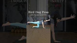 Bird Dog Pose  Yoga Practice For Anxiety  Yoga For Stress Relief  Relaxing Yoga shorts [upl. by Alatea]