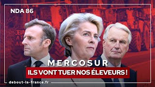 NDA86 · Mercosur  ils vont tuer nos éleveurs [upl. by Kaasi]