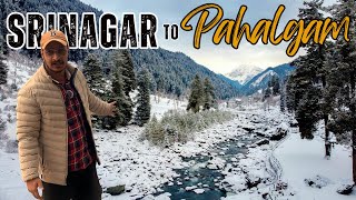 Srinagar to Pahalgam  Taxi Fare  Sightseeing In Winters [upl. by Seed768]