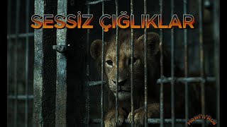 HowlnRoll  Sessiz Çığlıklar Yapay Zeka ile oluşturulmuştur görüntüler gerçek değildir [upl. by Madelle]