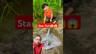 ROASTED STAR FISH 🐠  Star Fish fish fishing seafood bushcraft camping shorts shortsfeed [upl. by Ordnas]