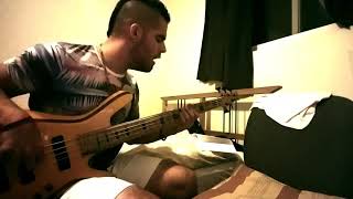 Boogie on Reggae Woman  Stevie Wonder Bass Cover [upl. by Arissa881]