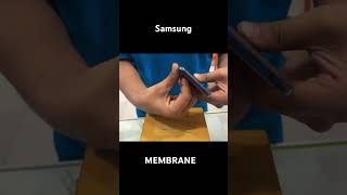 Samsung MEMBRANE youtube youtubeshorts membrane sumsung [upl. by Parish657]