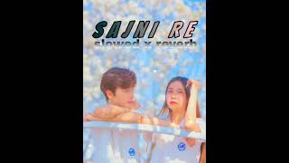 SAJNI RE  Nagpuri Romantic Love Song slowed reverb [upl. by Arelus507]