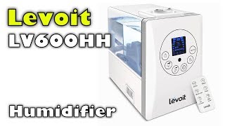 Levoit LV600HH 6L Humidifiers Vaporizer Demo Video By Edwards [upl. by Dimitris]