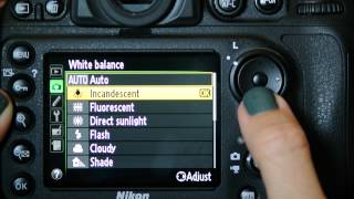 Nikon D800 Shooting Menu [upl. by Neiht]