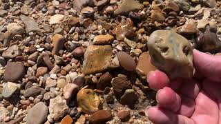 Rock hounding the Bogue Chitto River Crowleys Certs Fossils cajunrockhound nola thefinders agates [upl. by Yenwat631]