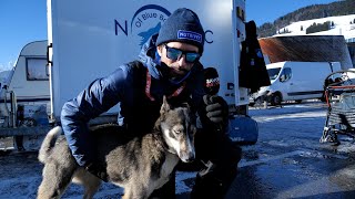 La Grande Odyssée VVF 2024  Comment les chiens athlètes sentraînent [upl. by Bancroft952]