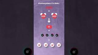 Photosystem II Powers All Life On Earth shorts [upl. by Egas]