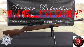 Hatsan 95 Vortex Breakbarrel quotFull Reviewquot by Airgun Detectives [upl. by Elfstan]