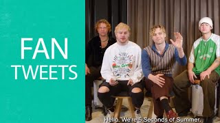 5SOS React To Fan Tweets On Twitter 3822 FULL COMPILATION [upl. by Arbas715]