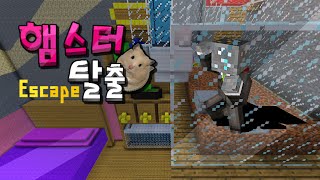 마인크래프트 바위골렘 햄스터 탈출 탈출맵 Minecraft  Hamster Escape [upl. by Nevai125]