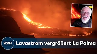 VULKANAUSBRUCH auf LA PALMA quotMan kann dem Ausbruch nichts entgegensetzenquot  WELT INTERVIEW [upl. by Isoj120]