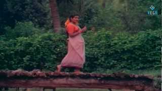 Vaidehi Kathirunthal  Raasaave Unnai  Ilayaraja  PSusheela Hit Song [upl. by Buckler661]