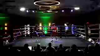 Golden Gloves 2024  Day 1 Mariott West Madison Wisconsin [upl. by Ssitnerp]