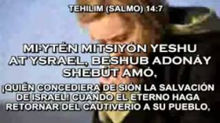 TEHILIM SALMO 133 Y 134 EREZ YEHIEL  HEBREO AL EPANOL [upl. by Refynnej]