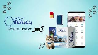 Cat Tracker GPS Device by FeTaca  G101 CatTracker GPSforCats FindMyCat TrackYourCat CatSafety [upl. by Halle]