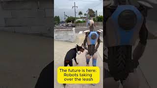 The future of robot dog walking revealed [upl. by Any]