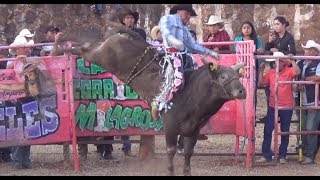 ¡¡¡ESTO SI ES JARIPEO Puacuaro Michoacan 21 De Noviembre 2017 [upl. by Idnyl]