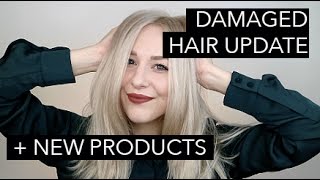 DAMAGED HAIR new product loves hair update aphogee review [upl. by Arutak672]