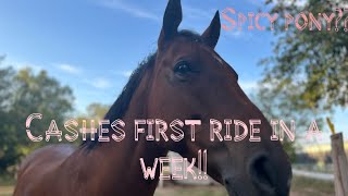 My Pony’s First Ride In a Week \\Vlog [upl. by Cia]