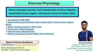 Neuromuscular junction and transmission of nerve impulse  Action potential  UGC NET [upl. by Kamilah]