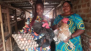 How she turned her Garage into a Successful Poultry Farm [upl. by Zelde]