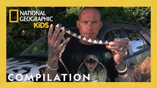 Snake Facts with Professional Snake Catchers 🐍  Nat Geo Kids Compilation  natgeokids [upl. by Bertina730]