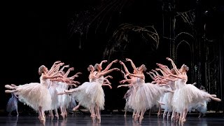 Swan Lake Corps de Ballet The Royal Ballet [upl. by Noella]