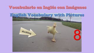 Vocabulario en inglés con imágenes 8 · Subject pronouns · Pronombres sujeto [upl. by Phipps]