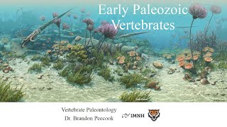 Lecture 6 Early Paleozoic Vertebrates Jan 25 [upl. by Gent]