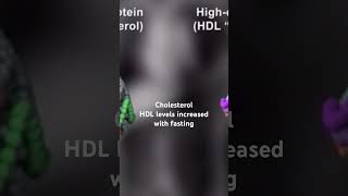 What happens to cholesterol during fasting  fasting benefits  LDL VS HDL cholesterol [upl. by Dov]