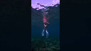 NICKY freediving molchanovs underwaterphotography mermaid freediving gwenstacy [upl. by Filbert]