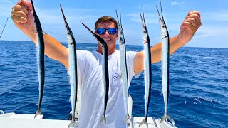 Needlefish Catch Clean Cook Shocking Results [upl. by Avad]