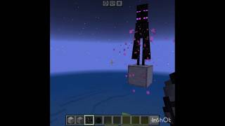 100 enderman vs endermite [upl. by Luing]